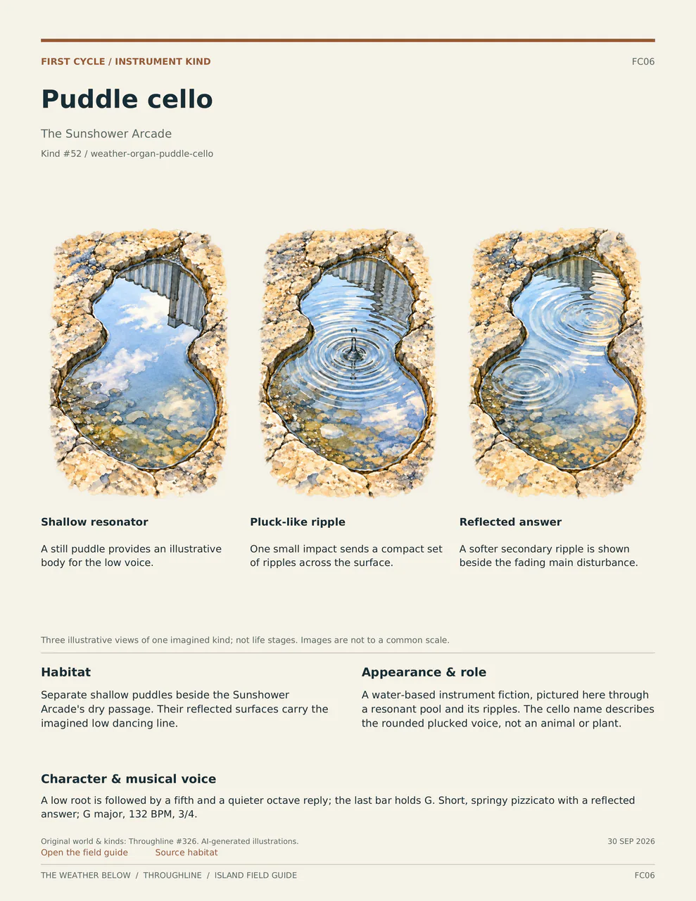 Puddle cello: three labelled illustrative views, with habitat, appearance and musical voice described below.